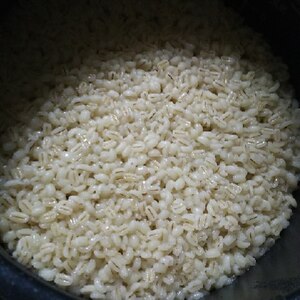 食物繊維 炊飯器でもち麦10割炊き レシピ 作り方 By 低糖質もーこ 楽天レシピ 食物繊維 炊飯器でもち麦10割炊き レシピ 作り方 By 低糖質もーこ 楽天レシピ